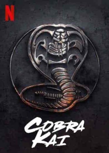 مسلسل Cobra Kai الموسم الاول مترجم