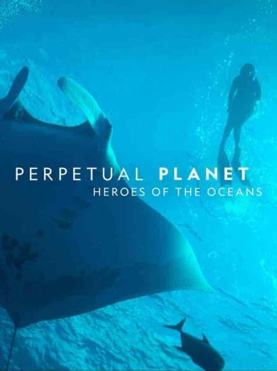 فيلم Perpetual Planet: Heroes of the Oceans 2021 مترجم اون لاين