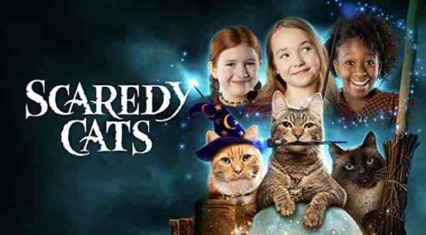 مسلسل Scaredy Cats الموسم الاول مترجم