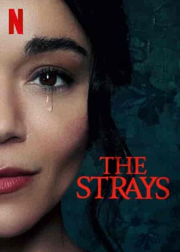 مشاهدة فيلم The Strays 2023 مترجم