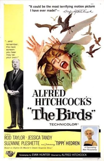 فيلم The Birds 1963 مترجم