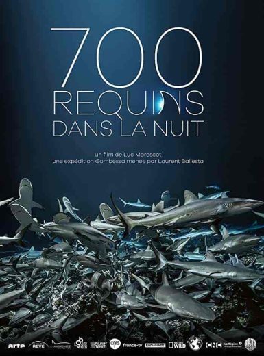 فيلم 700 requins dans la nuit 2018 مترجم اون لاين