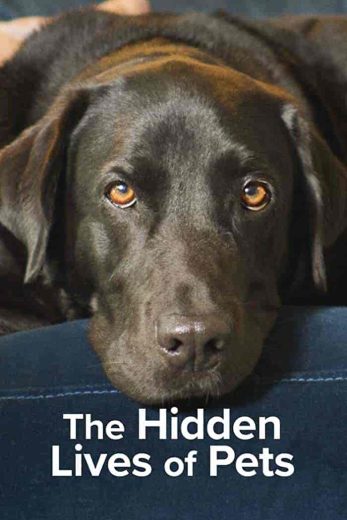 مسلسل The Hidden Lives of Pets الموسم الاول مترجم